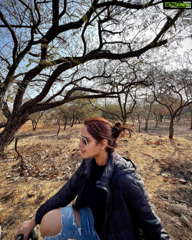 Asmita Sood Instagram - Only those who will risk going too far can possibly find out how far they can go. 🌿 #intothewild #gir #woodsatsasan #weekendtrip #girforestnationalpark #asmitten Gir