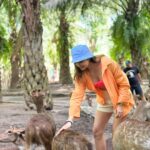 Avantika Mishra Instagram – Thank you @balizoo for arranging a date for me with the 🦒 🦓 🦔❤️