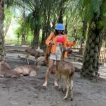 Avantika Mishra Instagram – Thank you @balizoo for arranging a date for me with the 🦒 🦓 🦔❤️