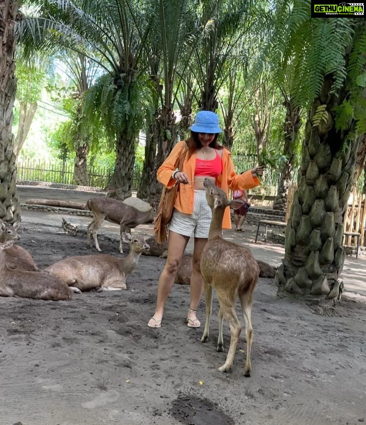 Avantika Mishra Instagram - Thank you @balizoo for arranging a date for me with the 🦒 🦓 🦔❤