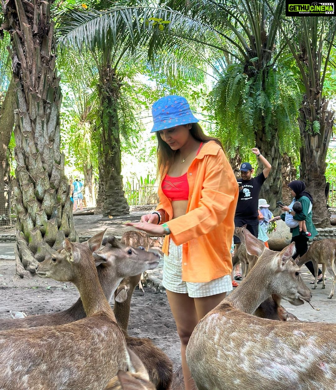 Avantika Mishra Instagram - Thank you @balizoo for arranging a date for me with the 🦒 🦓 🦔❤️