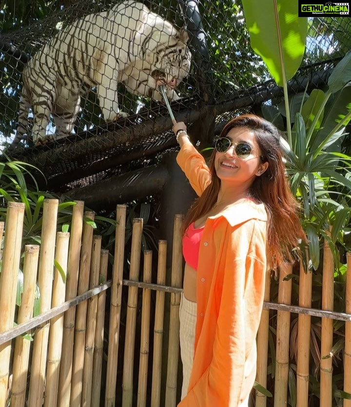 Avantika Mishra Instagram - Thank you @balizoo for arranging a date for me with the 🦒 🦓 🦔❤