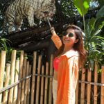 Avantika Mishra Instagram – Thank you @balizoo for arranging a date for me with the 🦒 🦓 🦔❤️