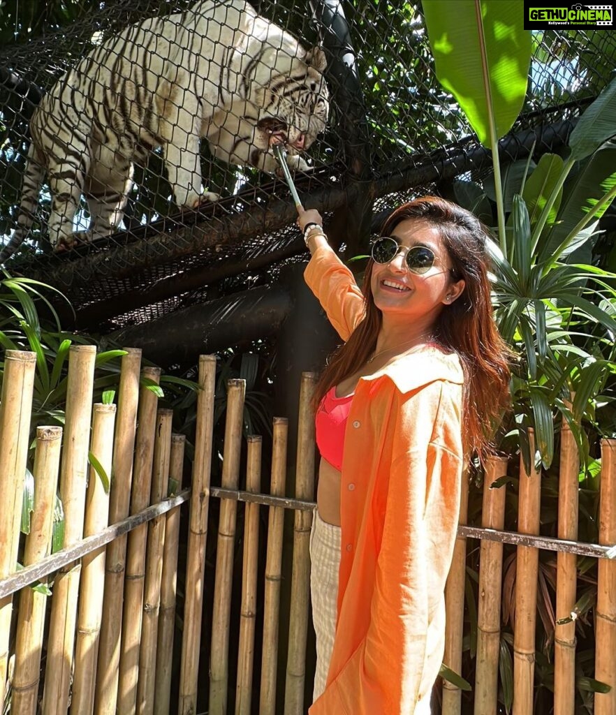 Avantika Mishra Instagram - Thank you @balizoo for arranging a date for me with the 🦒 🦓 🦔❤