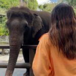 Avantika Mishra Instagram – Thank you @balizoo for arranging a date for me with the 🦒 🦓 🦔❤️