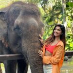 Avantika Mishra Instagram – Thank you @balizoo for arranging a date for me with the 🦒 🦓 🦔❤️