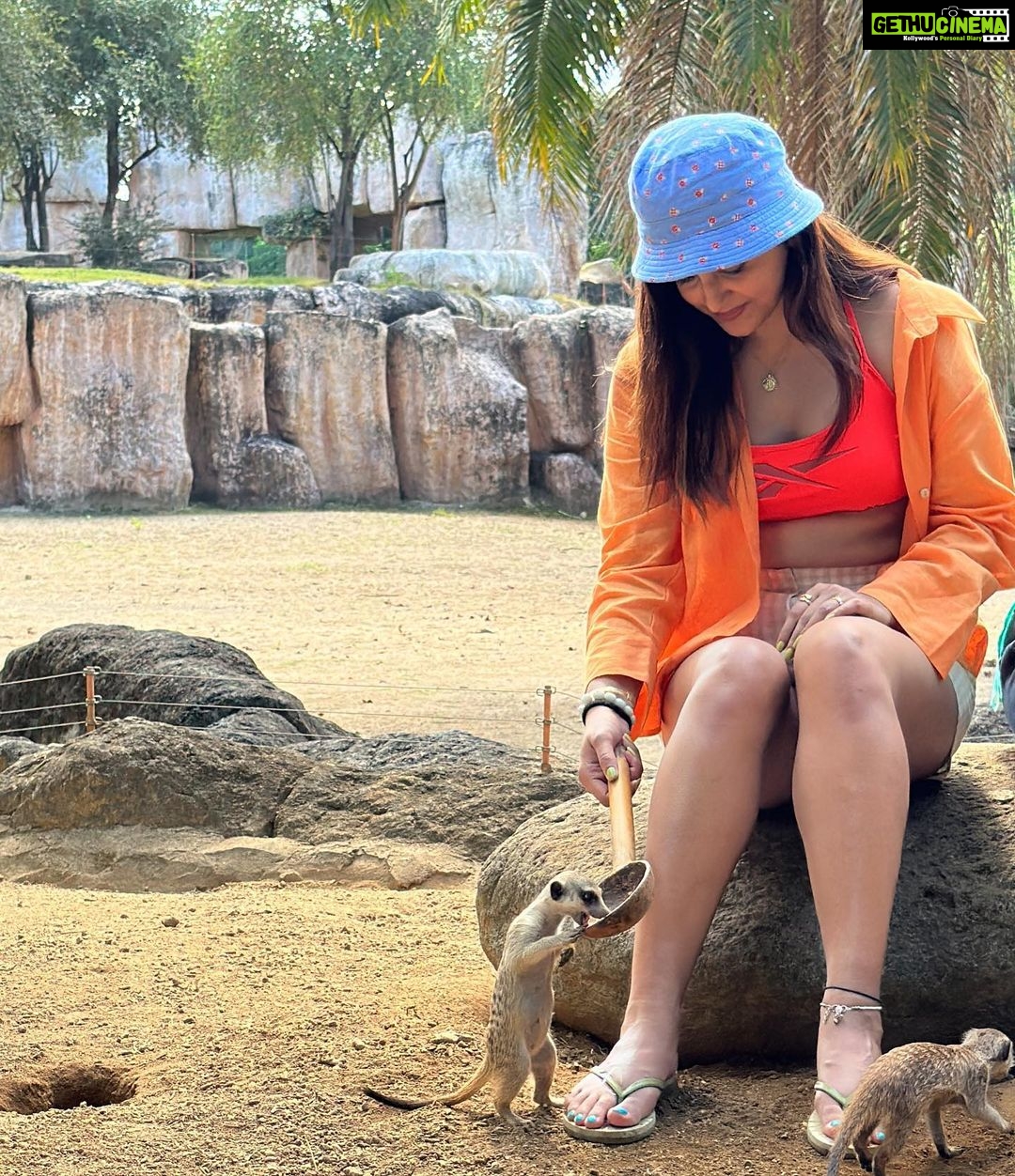 Avantika Mishra Instagram - Thank you @balizoo for arranging a date for me with the 🦒 🦓 🦔❤️