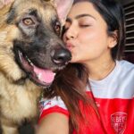 Avantika Mishra Instagram – So fur-ocious! Had to give him endless belly rubs to get these pictures.  @rumi.mish ❤️😅 
.
.
#GermanShepherd #HatesTakingPictures