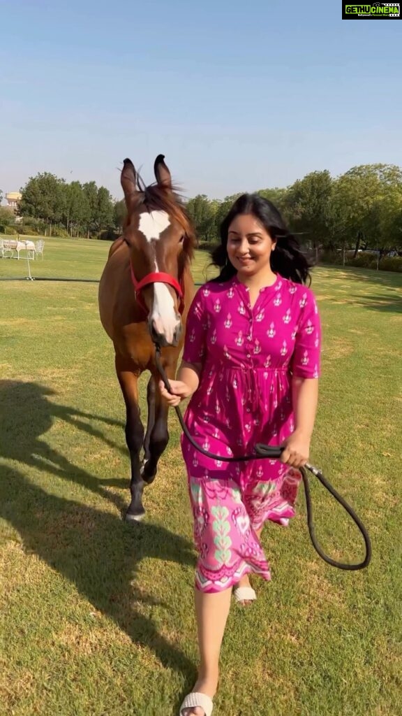 Bhanushree Mehra Instagram - Unforgettable moments at @theummedjodhpur Jodhpur when I shared breakfast with my four legged friends at the hotel. You won’t believe, the horses nibbled on the croissants like they were their favourite snacks. Who knew they had such refined taste? 😃 It’s these unexpected experiences that make traveling so magical. Share your most amusing experiences of animals enjoying unexpected treats in the comments below ! @theummedjodhpur @khyathisolutions