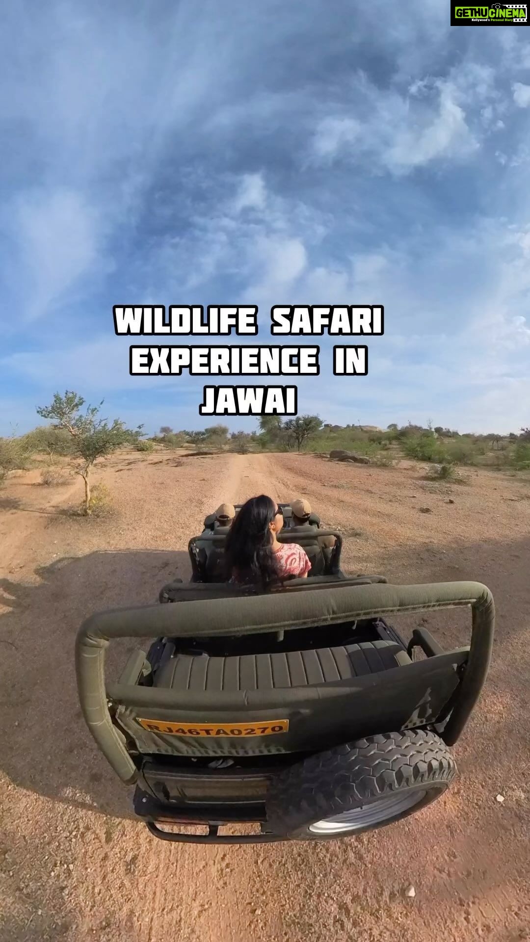 Bhanushree Mehra Instagram - A beautiful evening spent exploring the stunning landscape of Jawai and its incredible wildlife, including leopards, Neel gaye, and so many migratory birds. The perfect end to an unforgettable experience was a cozy tea setup by the Jawai Bandh Lake. A true moment of bliss ! Thank you @rawla_bisalpur for this lovely experience 😊 Jawai Bandh, Rajasthan, India