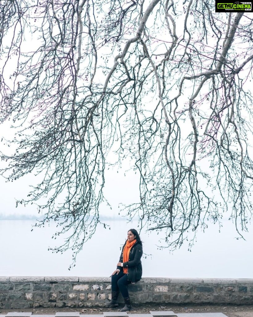 Bhanushree Mehra Instagram - A typical winter day in Srinagar - hazy, chilly, but still beautiful in its own way. . . . . . . . . #srinagar #kashmir #hazy #winter