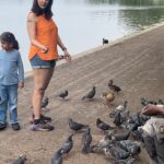 Chahatt Khanna Instagram - First week in London 🫶 @goelneha2000 @amairakhanna15 #family #familytime #friends #home #travel #london #chahattkhanna #uk #Amaira #holidays #motheranddaughtertime #oldfriends #nature #birds #park #hydeparklondon Hyde Park