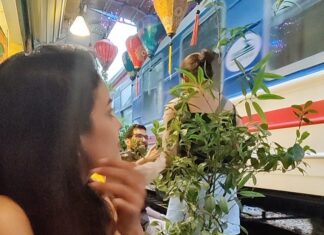 Chandini Tamilarasan Instagram - Traveling😍 It leaves you speechless, then turns you into a storyteller 😍❤️ Thank you @railwaycafehanoi for the amazing food Travel partner @nanda_offl 😜😜 #vietnam #hanoirailwaycafe #hanoitrainstreet #vacay #vacation #holiday2023 #chandinitamilarasan #chandini #hanoi #photodump Hanoi Train Street