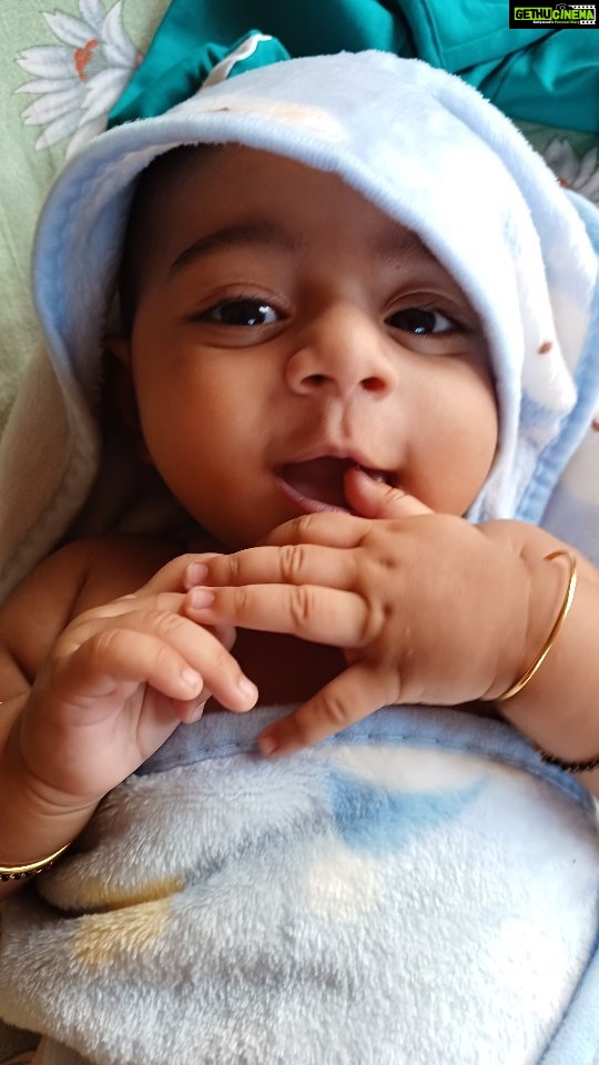 Chandra Lakshman Instagram - @infantso.baby sent over this cute,comfy and need of the hour baby rocker for #ayaan..This has enabled me to entertain our little one safely and also get my work done for the day..Ayaan totally enjoys his time in the rocker.. Check it out on @infantso.baby insta page or find it on @amazon to get your's too..π«°π« Kochi, India