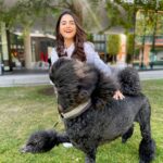 Debattama Saha Instagram - 🐾Stay Paw-sitive🐩🦮🦴🐕‍🦺 Also this was the best photobombing partner I could ever find! Swipe till the last click! . . . . . . . #paws #pawsome #positivity #positivevibes