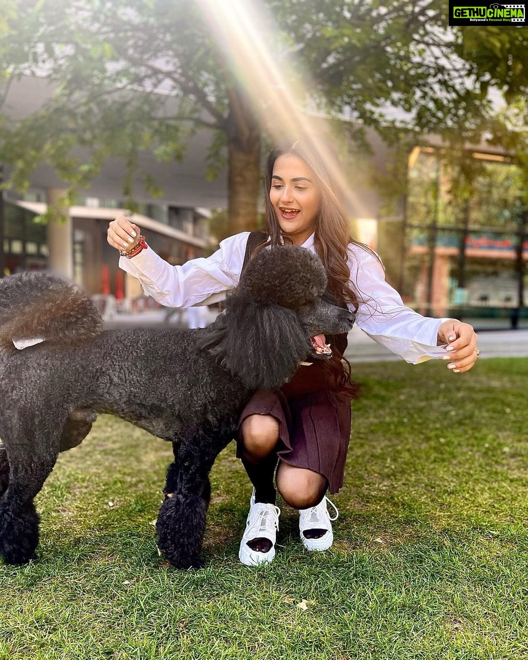 Debattama Saha Instagram - 🐾Stay Paw-sitive🐩🦮🦴🐕🦺 Also this was the best photobombing partner I could ever find! Swipe till the last click! . . . . . . . #paws #pawsome #positivity #positivevibes