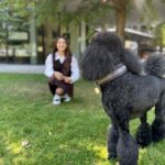 Debattama Saha Instagram - 🐾Stay Paw-sitive🐩🦮🦴🐕‍🦺 Also this was the best photobombing partner I could ever find! Swipe till the last click! . . . . . . . #paws #pawsome #positivity #positivevibes