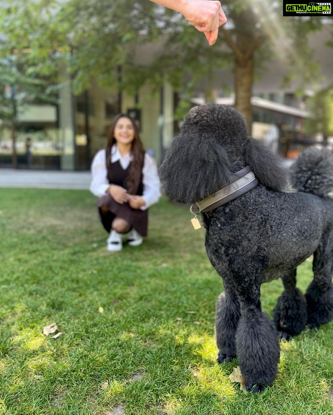 Debattama Saha Instagram - 🐾Stay Paw-sitive🐩🦮🦴🐕🦺 Also this was the best photobombing partner I could ever find! Swipe till the last click! . . . . . . . #paws #pawsome #positivity #positivevibes
