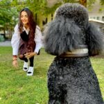 Debattama Saha Instagram - 🐾Stay Paw-sitive🐩🦮🦴🐕‍🦺 Also this was the best photobombing partner I could ever find! Swipe till the last click! . . . . . . . #paws #pawsome #positivity #positivevibes
