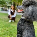 Debattama Saha Instagram - 🐾Stay Paw-sitive🐩🦮🦴🐕‍🦺 Also this was the best photobombing partner I could ever find! Swipe till the last click! . . . . . . . #paws #pawsome #positivity #positivevibes