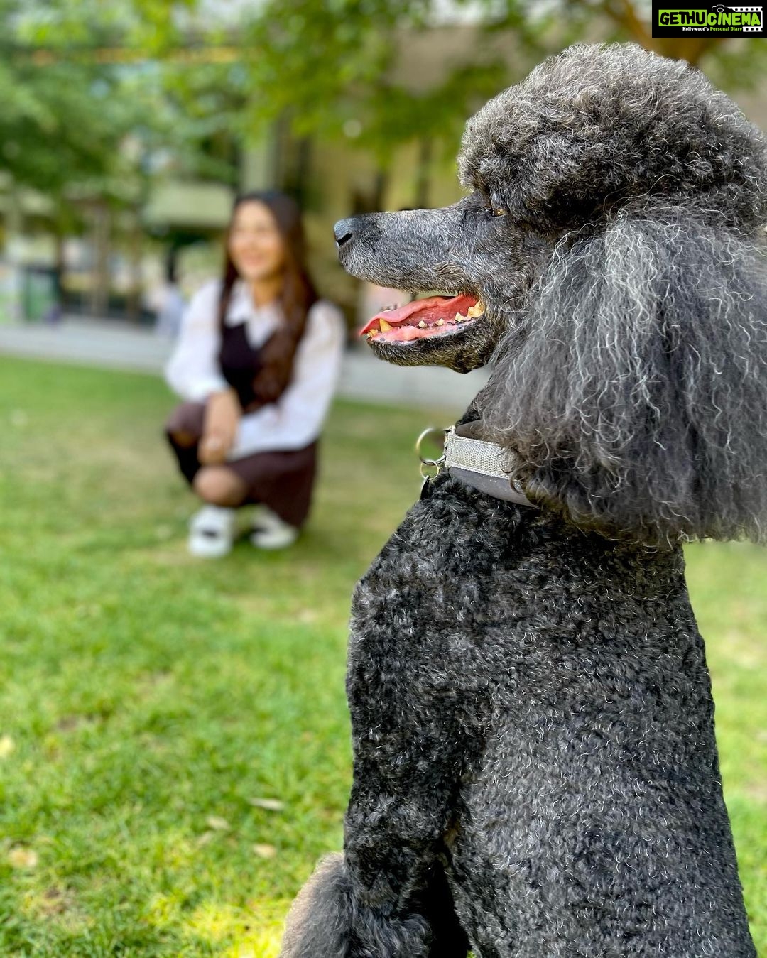 Debattama Saha Instagram - 🐾Stay Paw-sitive🐩🦮🦴🐕🦺 Also this was the best photobombing partner I could ever find! Swipe till the last click! . . . . . . . #paws #pawsome #positivity #positivevibes