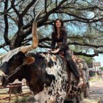 Elnaaz Norouzi Instagram - I don’t usually do touristy stuff… but when I’m in #Texas … I even sit on a Longhorn for pictures 😂 swipe to the last slide to see my reaction/scared face 🥲 Had an amazing day with my friends - some fantastic food and experienced everything we see in movies of what Texas looks like 😁🤘🏼 من معمولا ازین کارای توریستی انجام نمیدم ‌ولی وقتی میام تگزاس، حتی سوار گاومیش هم میشم که باهاش عکس بگیرم. 🤠 ورق بزنید تا تو اسلاید آخر قیافه وحشت زده منو ببینید 🥹 #dallas #usa #longhorns #tourist #funny The Fort Worth Historic Stockyards