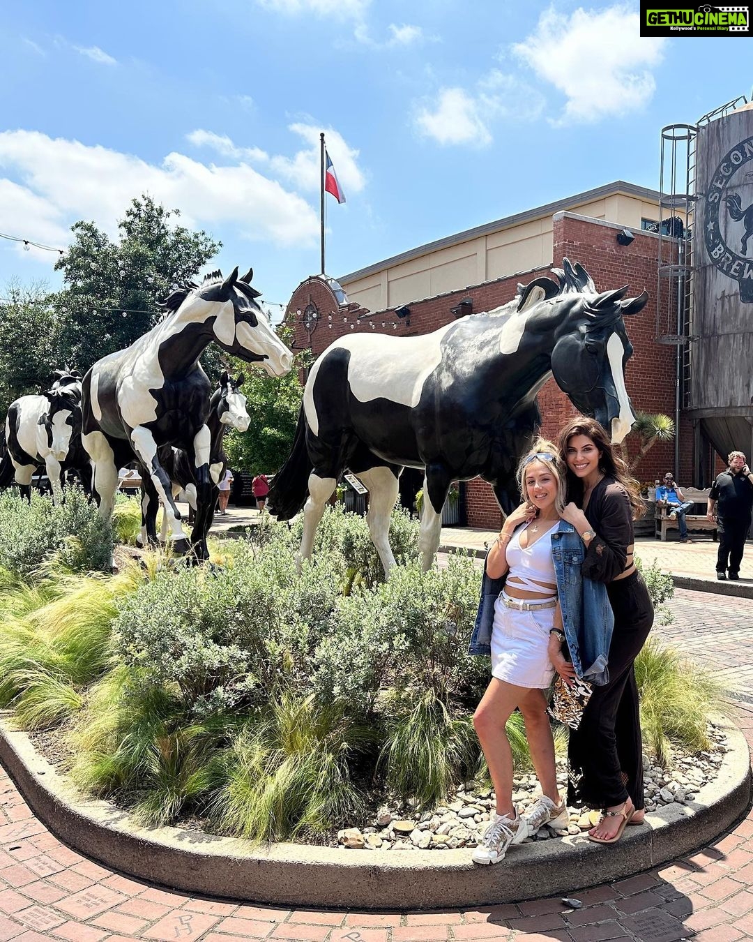 Elnaaz Norouzi Instagram - I don’t usually do touristy stuff… but when I’m in #Texas … I even sit on a Longhorn for pictures 😂 swipe to the last slide to see my reaction/scared face 🥲 Had an amazing day with my friends - some fantastic food and experienced everything we see in movies of what Texas looks like 😁🤘🏼 من معمولا ازین کارای توریستی انجام نمیدم ولی وقتی میام تگزاس، حتی سوار گاومیش هم میشم که باهاش عکس بگیرم. 🤠 ورق بزنید تا تو اسلاید آخر قیافه وحشت زده منو ببینید 🥹 #dallas #usa #longhorns #tourist #funny The Fort Worth Historic Stockyards