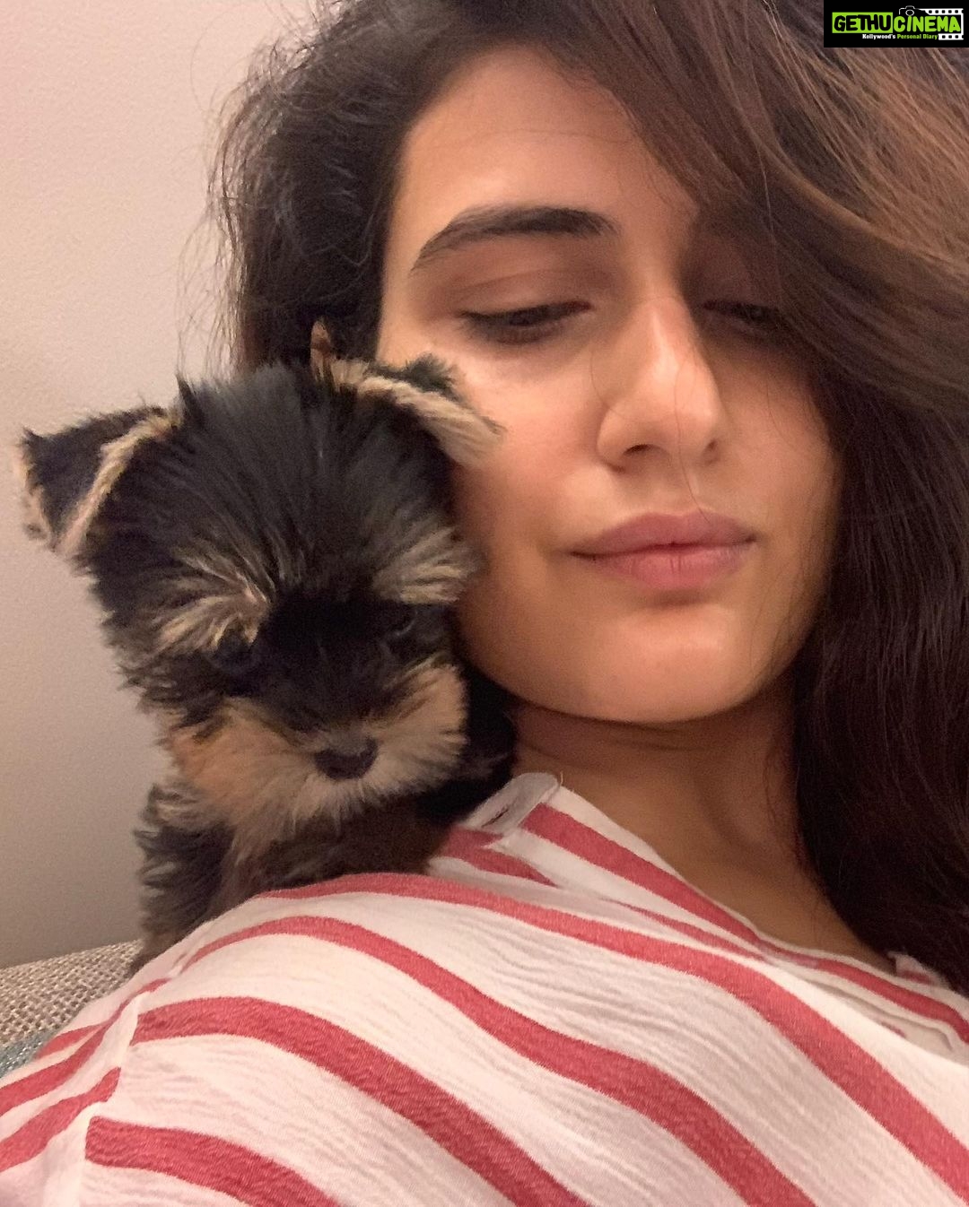 Fatima Sana Shaikh Instagram - Photo dump of pictures with bijlee ❤️ ❤️ ❤️ Cuz why not? From waking me up In the mornings to hiking up the mountains. Travelling with her is always the best. Best girl!! #bijlee #pyaari #jaan