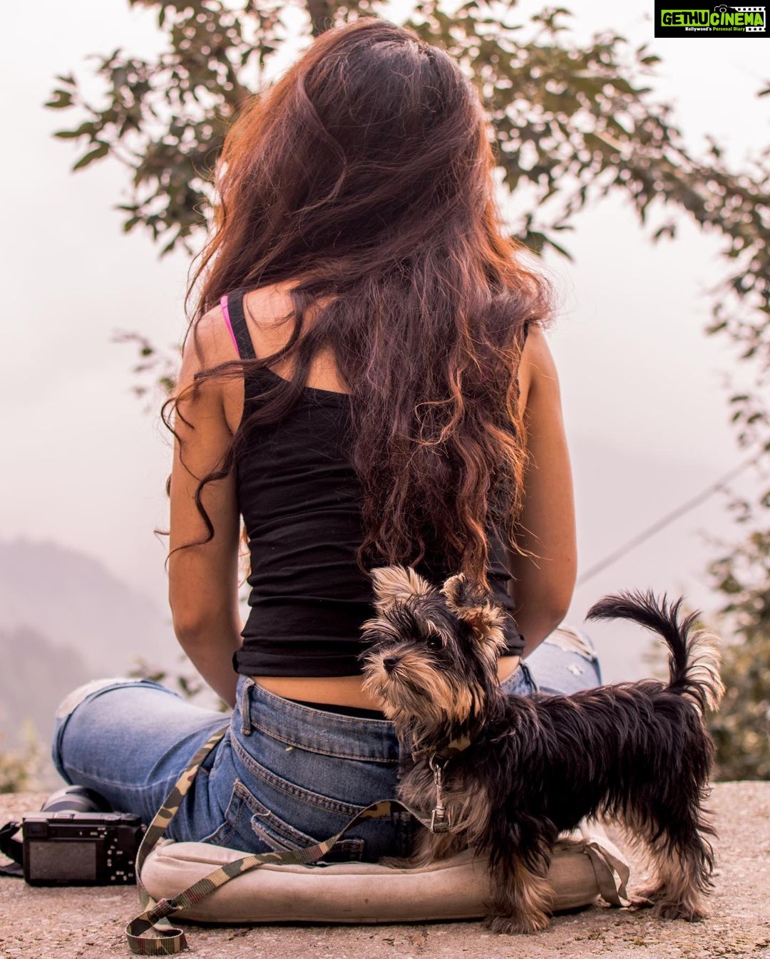 Fatima Sana Shaikh Instagram - Photo dump of pictures with bijlee ❤️ ❤️ ❤️ Cuz why not? From waking me up In the mornings to hiking up the mountains. Travelling with her is always the best. Best girl!! #bijlee #pyaari #jaan