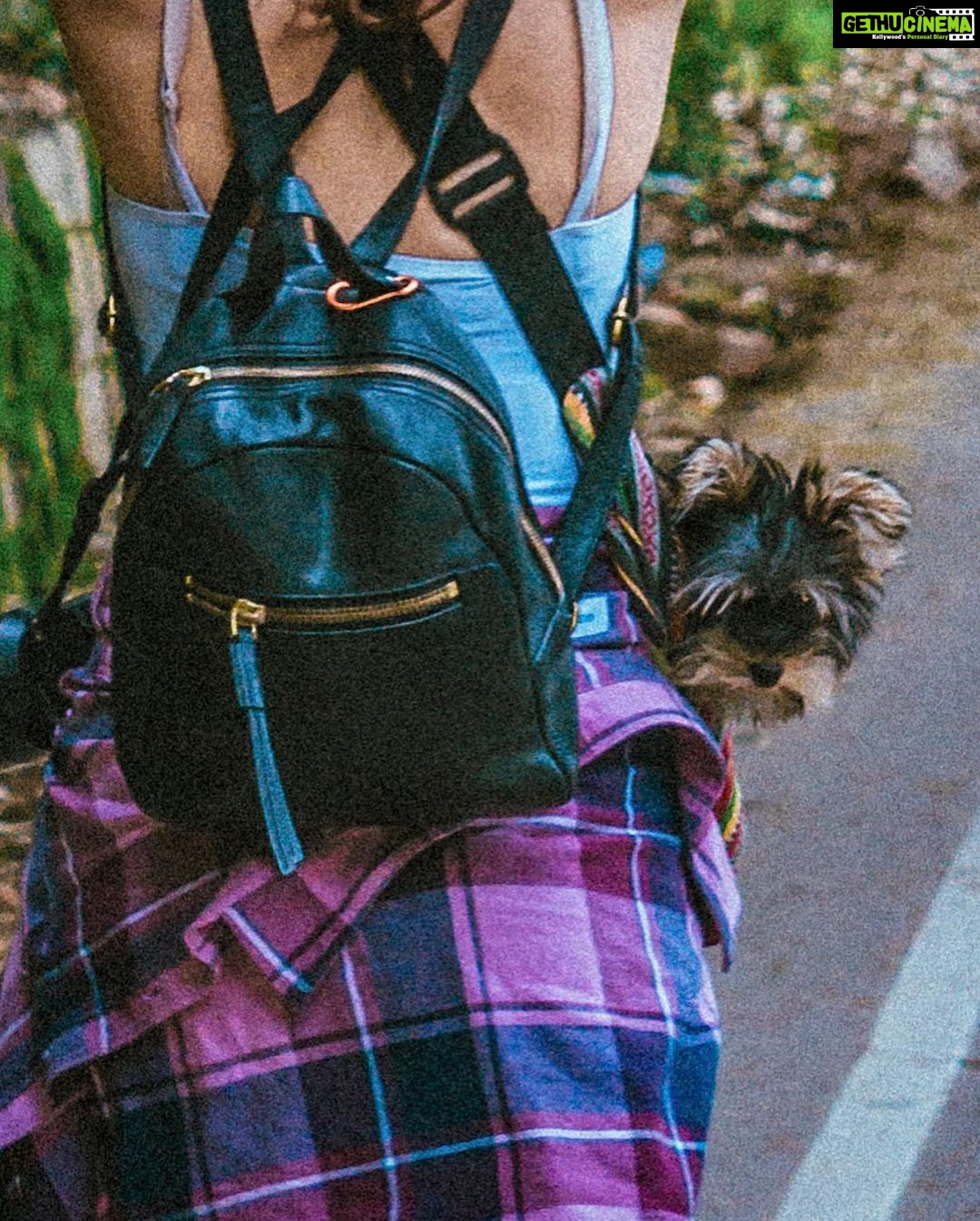 Fatima Sana Shaikh Instagram - Photo dump of pictures with bijlee ❤️ ❤️ ❤️ Cuz why not? From waking me up In the mornings to hiking up the mountains. Travelling with her is always the best. Best girl!! #bijlee #pyaari #jaan