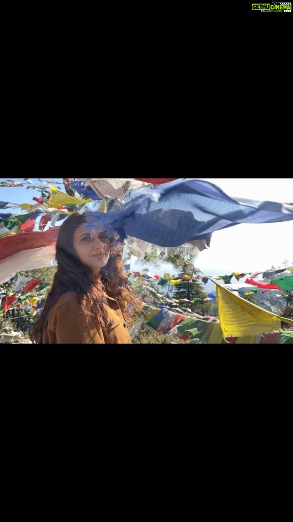Fatima Sana Shaikh Instagram - Was missing the mountains. Toh bas, wanted to share some moments. :) #pahadiladki #dharamshala #missingshappening Dharamshala, Himachal Pradesh..
