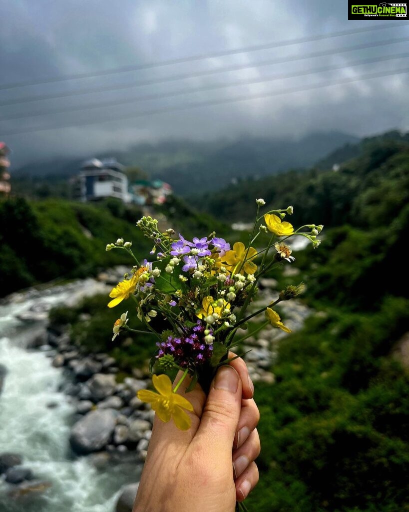 Fatima Sana Shaikh Instagram - That’s what my morning walks in the mountains looked like :) Picking flowers mostly :p Also, the jacket and the beautiful shirt is by @sharlho Dharamshala, Himachal Pradesh..