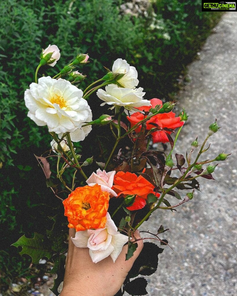 Fatima Sana Shaikh Instagram - That’s what my morning walks in the mountains looked like :) Picking flowers mostly :p Also, the jacket and the beautiful shirt is by @sharlho Dharamshala, Himachal Pradesh..