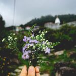Fatima Sana Shaikh Instagram – That’s what my morning walks in the mountains looked like :)
Picking flowers mostly :p
Also, the jacket and the beautiful shirt is by @sharlho Dharamshala, Himachal Pradesh..