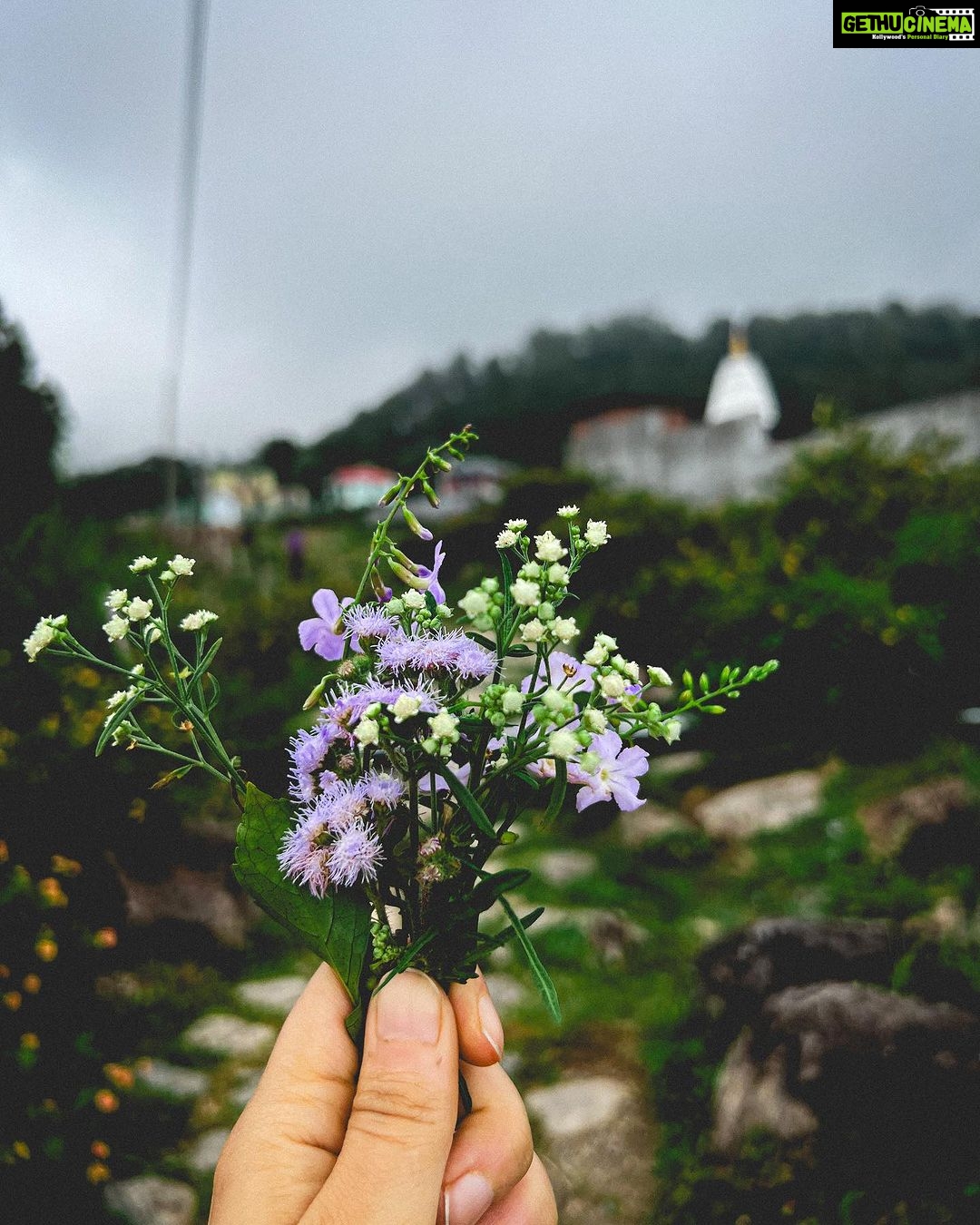 Fatima Sana Shaikh Instagram - That’s what my morning walks in the mountains looked like :) Picking flowers mostly :p Also, the jacket and the beautiful shirt is by @sharlho Dharamshala, Himachal Pradesh..