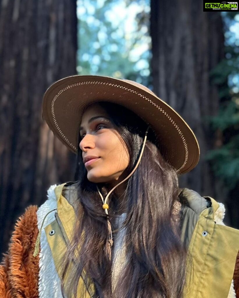 Freida Pinto Instagram - The healing nature of Redwoods Big Sur, California