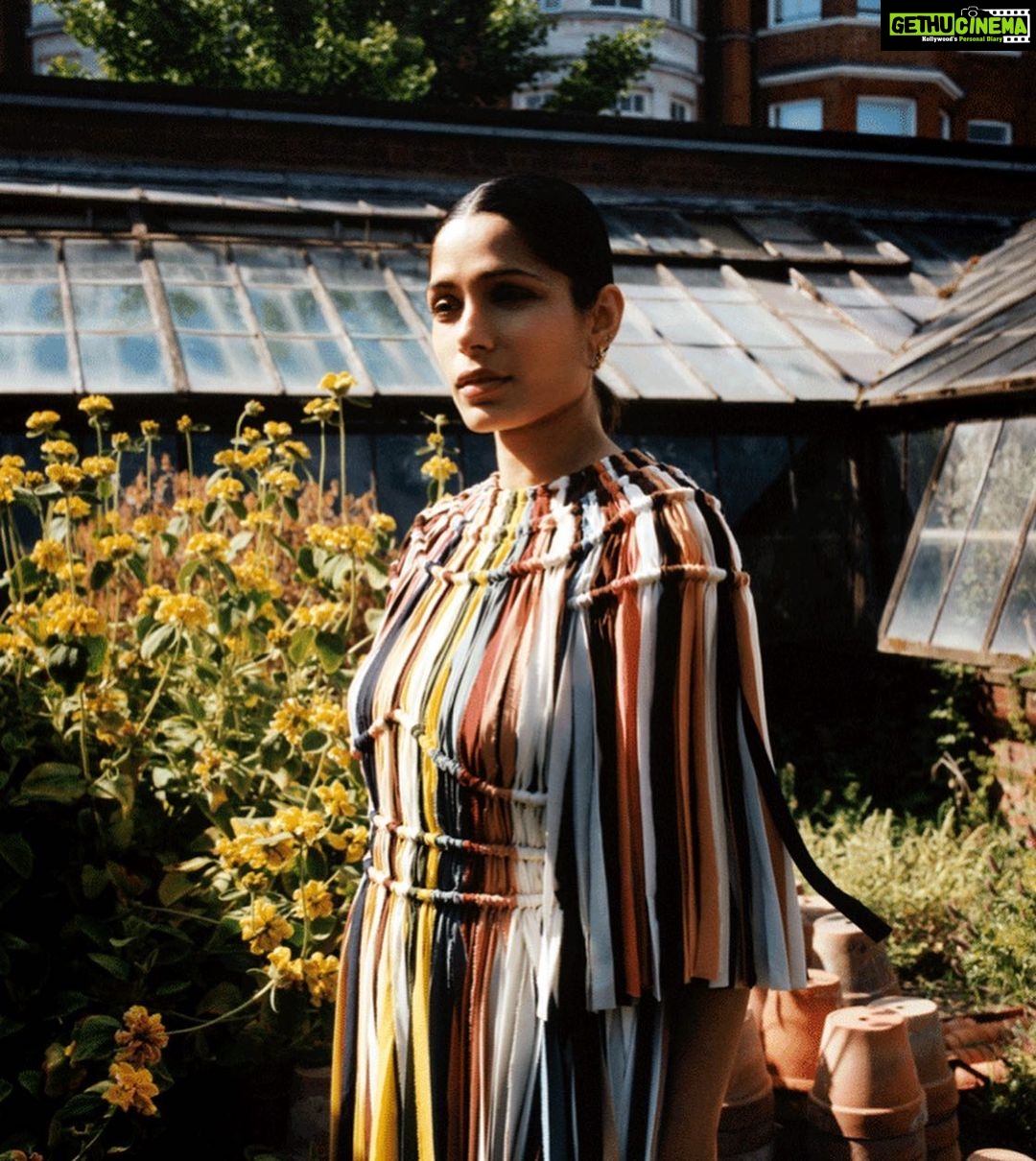 Freida Pinto Instagram - Summer recap with @marieclaireuk. TEAM MAKE-UP: @naokoscintu HAIR: @dayaruci NAILS: @emilyroselansley STYLIST: @nikhilmansata PHOTOGRAPHER: @ashishisshah EDITOR IN CHIEF: @andreacanwrite SHOOT/ FILM DIRECTOR: @lisaoxenham WORDS: @emilycro PRODUCER: @grace.warn ART EDITOR: @anaospinatejeiro CHIEF SUB EDITOR: @nicolamoyne PHOTO ASSISTANT: @edwardemberson PHOTO ASSISTANT: @wall_de_flower FASHION ASSISTANT: @roshnisukhlecha MAKEUP ASSISTANT: @rachaelthomasmakeup LOCATION: @chelsea_physic_garden London, Unιted Kingdom