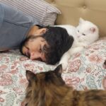 Gautham Karthik Instagram - Started my day with their blessings 🐈😸