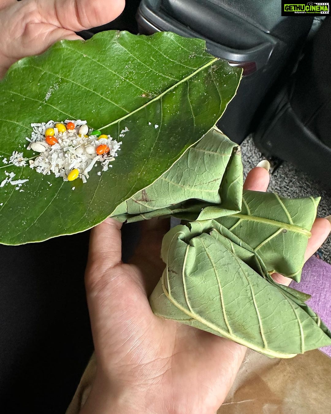 Isha Talwar Instagram - In the world of AI,finding human connections ! βοΈπͺ·ππΈπΌ Oel Nature Retreat