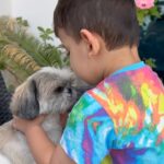 Ishaara Nair Instagram - Gentle………… or not 😐❤️ no animals were harmed during the making of this video 😝 #besties #twopeasinapod #unconditionallove #purelove Dubai, United Arab Emirates
