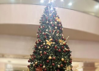 Iswarya Menon Instagram - Feeling all Christmasyyyyyyy 🌲🎅 Merry Christmas all of you 💋