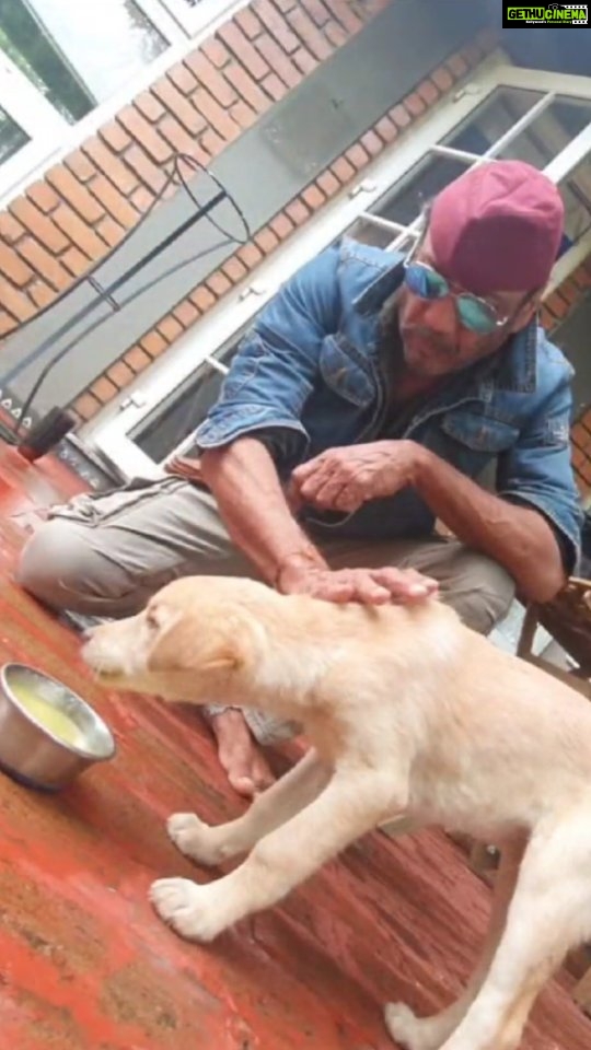 Jackie Shroff Instagram - You can’t buy love but you can always rescue it! #internationaldogday #adoptdontshop #rescuedogsofinstagram