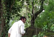 Jackie Shroff Instagram - Shubh Nag Panchami #nagpanchami #nagpanchami2023