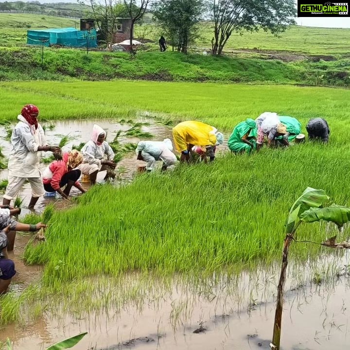 Jackie Shroff Instagram - Farming .... A Bliss...😇 #MaharashtraKrishiDivas 🌾🍂💚 86 Banyan Tree