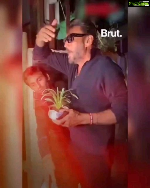 Jackie Shroff Instagram - Reposted from @brut.india Apna Bhidu seemingly can't step out of his house without this one thing... 👀 Swipe left for videos.. .. @pedlagaobhidu