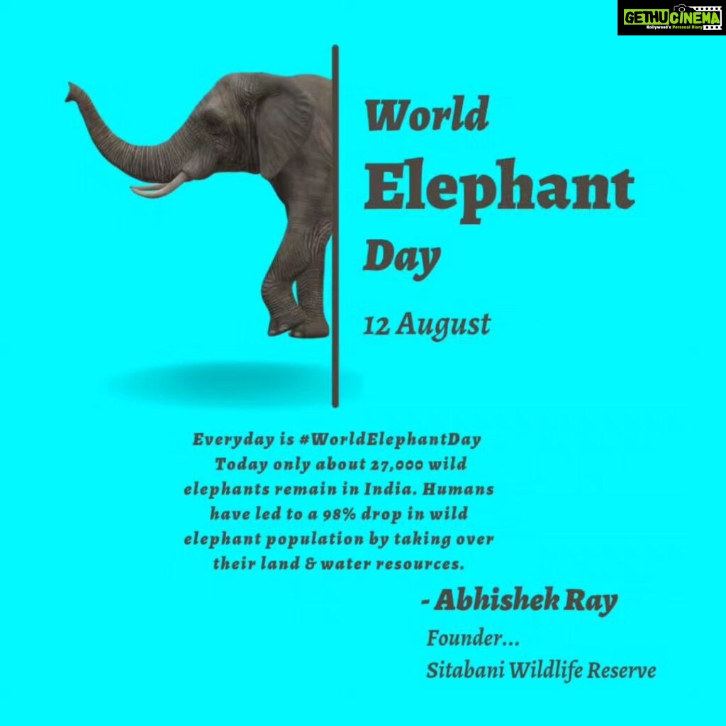 Jackie Shroff Instagram - Everyday is #WorldElephantDay Today only about 27,000 wild #elephants remain in India - The land of #Lord #Ganesha - the elephant #God. Being large wandering mammals, elephants are a robust indicators of our free land and freshwater resources. Elephants are highly efficient seed dispersal agents as new fruiting trees come out of elephant dung. Elephant herds have traditionally followed the rains across the vast expanses of the Indian subcontinent. So they are ancient harbingers of the monsoons. Elephants mourn their dead by regularly remembering and visiting places where they have lost a near and dear one. Elephants are masters of ancient Ayurveda and they are known to be a repository of plant medicinal knowledge passed over generations. They are similar to us in longevity, memory, intelligence and sensitivity. Yet we have killed 98% of the free ranging #wild elephant population in the last few decades taking over their land and water resources! Think over it !