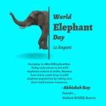 Jackie Shroff Instagram – Everyday is #WorldElephantDay 

Today only about 27,000 wild #elephants remain in India – The land of #Lord #Ganesha – the elephant #God. 

Being large wandering mammals, elephants are a robust indicators of our  free land and freshwater resources.

Elephants are highly  efficient seed dispersal agents as new fruiting trees come out of elephant dung.

Elephant herds have traditionally followed the rains across the vast expanses of the Indian subcontinent. So they are ancient harbingers of the monsoons.

Elephants mourn their dead by regularly remembering and visiting places where they have lost a near and dear one.

Elephants are masters of ancient Ayurveda and they are known to be a  repository of plant medicinal knowledge passed over generations.

They are similar to us in longevity, memory, intelligence and sensitivity.

Yet we have killed 98% of the free ranging  #wild elephant population in the last few decades taking over their land and water resources!

Think over it !