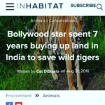 Jackie Shroff Instagram - #Tiger number is the most accurate indicator of our freshwater, fertility, rivers, air quality and overall environmental health. The vahan of Ma #Durga is the true #guardian of the #people of #India. Every #Indian #citizen must #pledge to #protect & #preserve our magnificent #biodiversity on #globaltigerday #worldtigerday @narendramodi @vicepresidentofindia @timesnow @timesofindia @natgeoindia @discoverychannelin #winner #amazingindianawards2022 #animalwelfare #swabhiman #bharat #founder @sitabaniwildlifereserve #India's first private #wildlife #reserve with wild #tiger #leopard presence. Sitabani Wildife Reserve