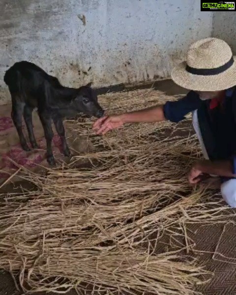 Jackie Shroff Instagram - Welcoming a new member to the family. Riddhi gave birth to Radha, few days back and she definitely is super excited to meet her human friends ❤️ #Blessed #RadheRadhe