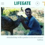 Jackie Shroff Instagram - #Tiger number is the most accurate indicator of our freshwater, fertility, rivers, air quality and overall environmental health. The vahan of Ma #Durga is the true #guardian of the #people of #India. Every #Indian #citizen must #pledge to #protect & #preserve our magnificent #biodiversity on #globaltigerday #worldtigerday @narendramodi @vicepresidentofindia @timesnow @timesofindia @natgeoindia @discoverychannelin #winner #amazingindianawards2022 #animalwelfare #swabhiman #bharat #founder @sitabaniwildlifereserve #India's first private #wildlife #reserve with wild #tiger #leopard presence. Sitabani Wildife Reserve